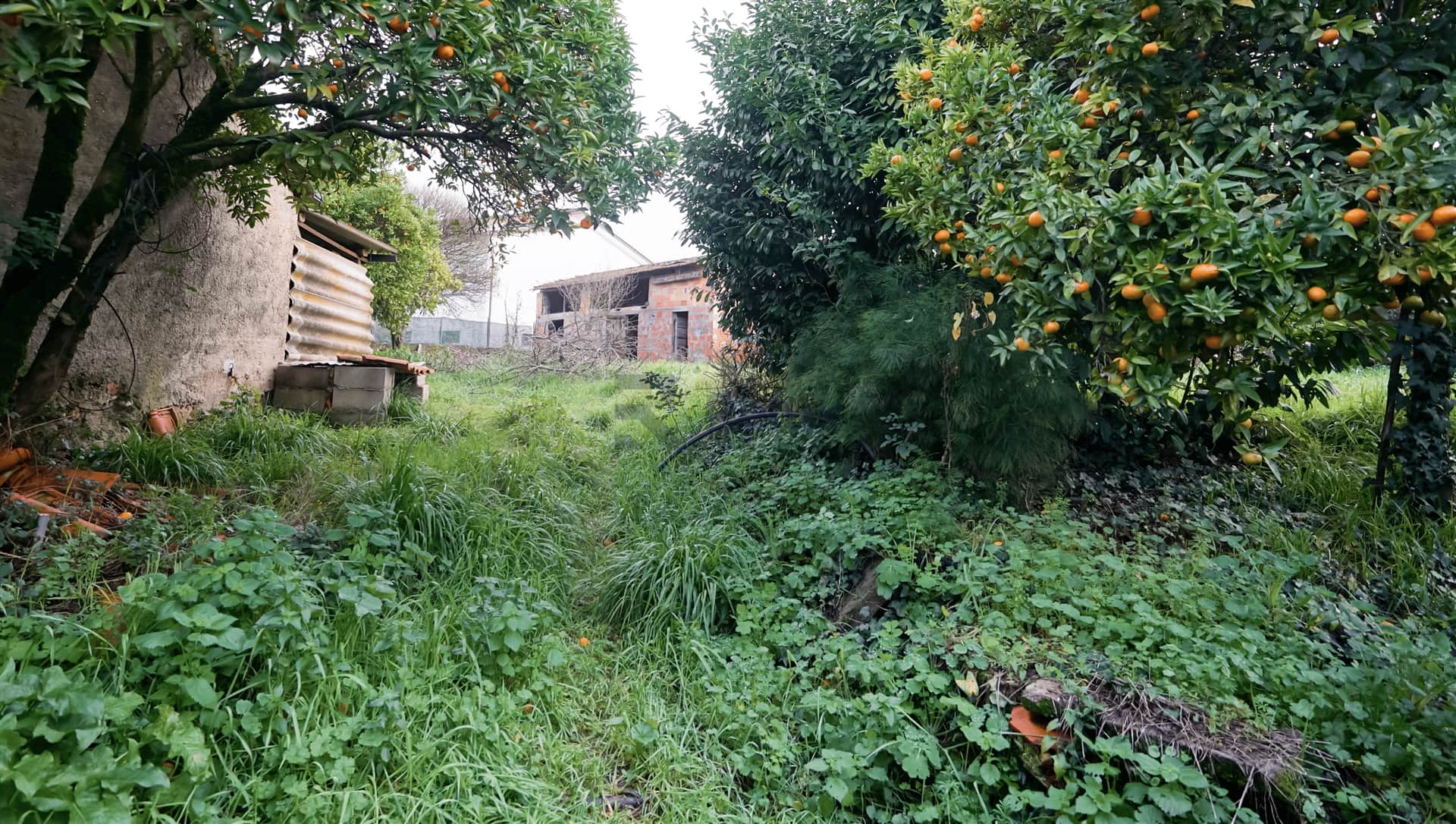 Moradia T3 Venda em Águeda e Borralha,Águeda - 3