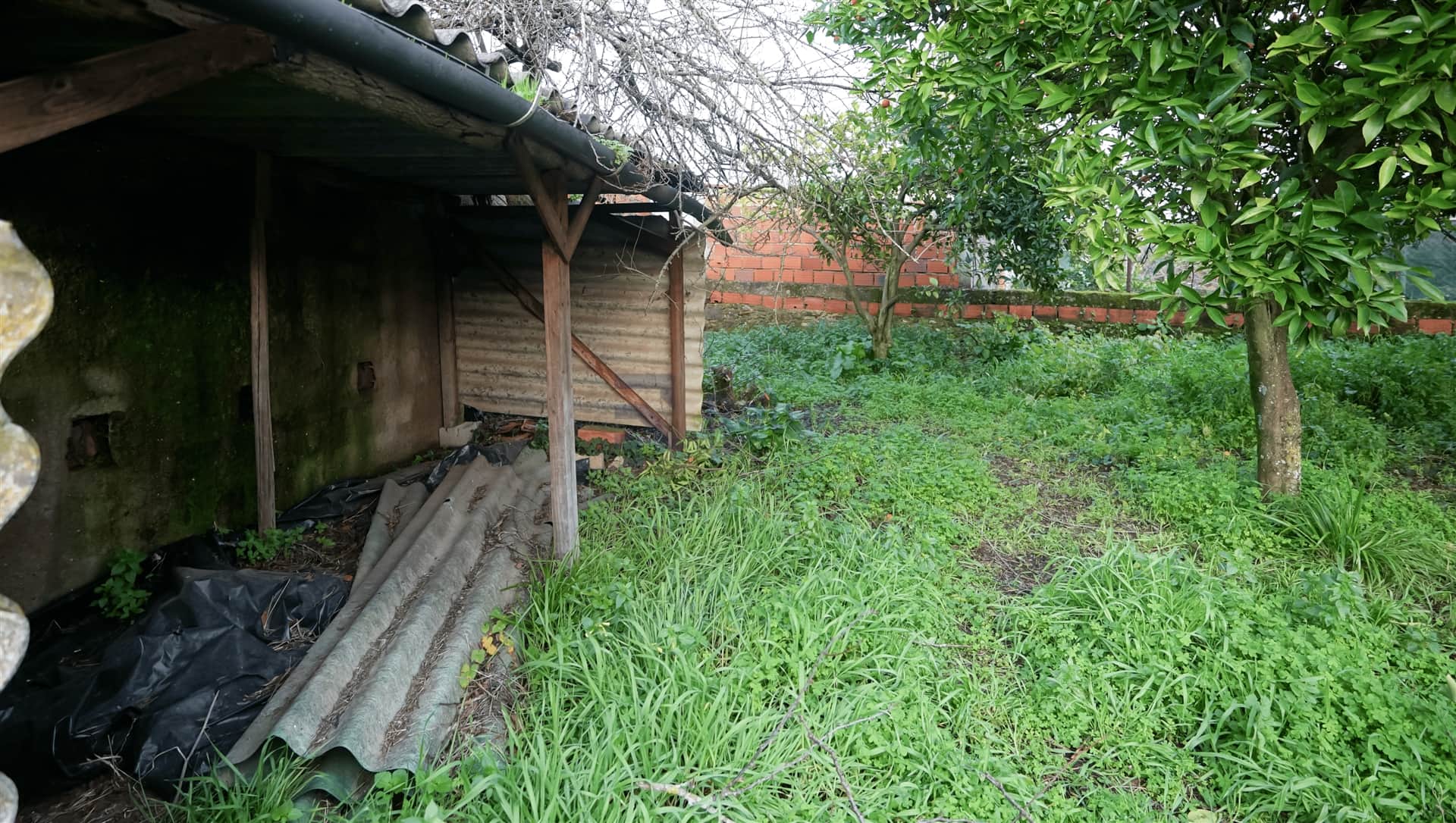 Moradia T3 Venda em Águeda e Borralha,Águeda - 4